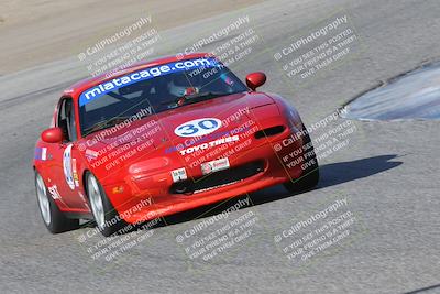 media/Nov-04-2023-CalClub SCCA (Sat) [[cb7353a443]]/Group 3/Cotton Corners (Race)/